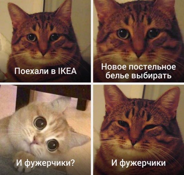 Мемы с прошлого года, которые будут смешить и в 2020-ом - 464713 Мемы с прошлого года, которые будут смешить и в 2020-ом - фото 464713