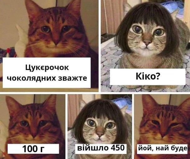 Мемы с прошлого года, которые будут смешить и в 2020-ом - 464714 Мемы с прошлого года, которые будут смешить и в 2020-ом - фото 464714