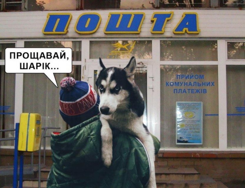 Скандальний коментар депутата про собаку й комуналку породив безліч феєричних мемів - фото 466355
