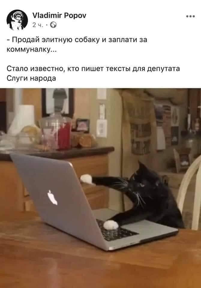 Скандальний коментар депутата про собаку й комуналку породив безліч феєричних мемів - фото 466356