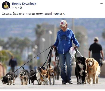 Скандальний коментар депутата про собаку й комуналку породив безліч феєричних мемів - фото 466366