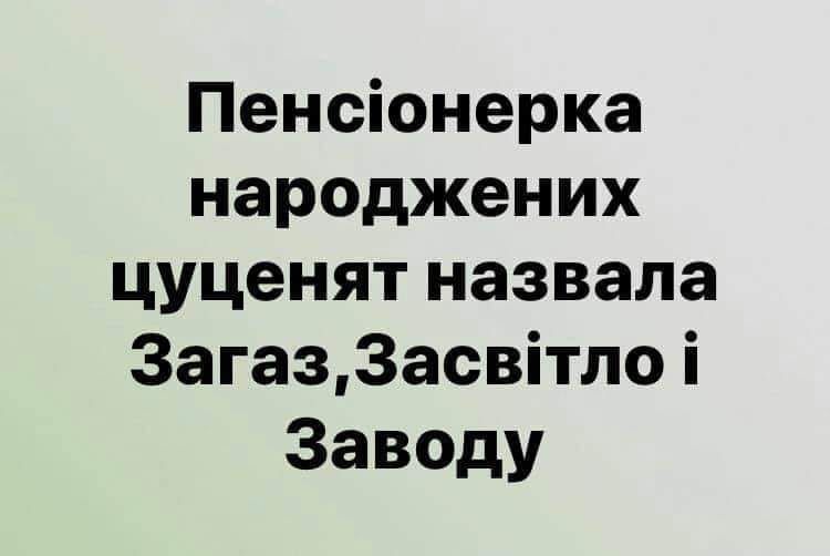 Скандальний коментар депутата про собаку й комуналку породив безліч феєричних мемів - фото 466367