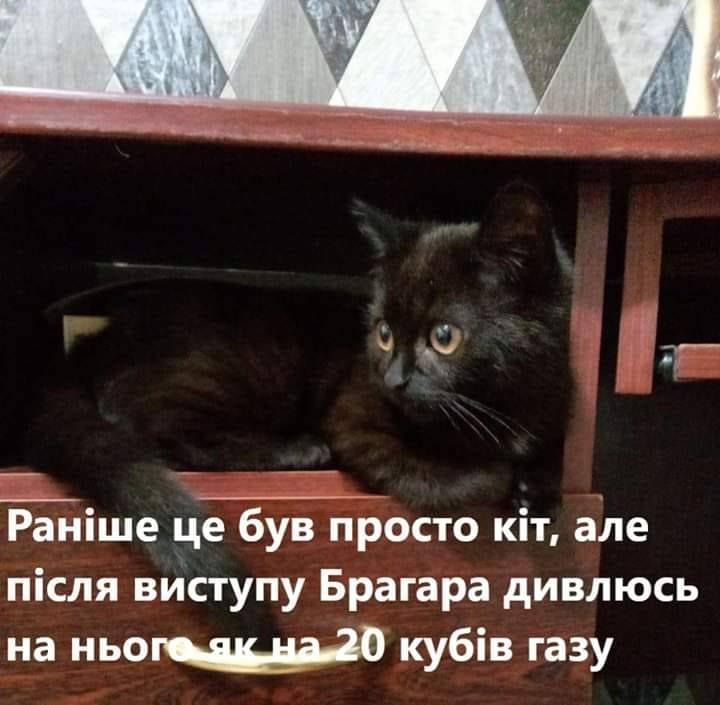 Скандальний коментар депутата про собаку й комуналку породив безліч феєричних мемів - фото 466368