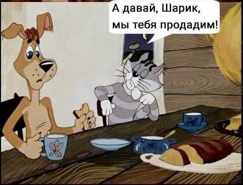 Скандальний коментар депутата про собаку й комуналку породив безліч феєричних мемів - фото 466378