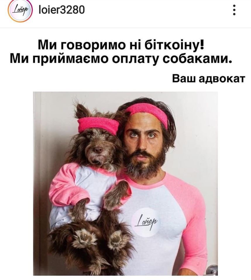 Скандальний коментар депутата про собаку й комуналку породив безліч феєричних мемів - фото 466385