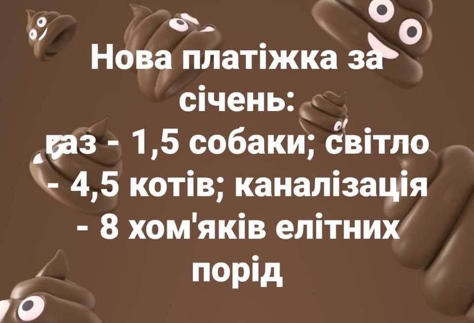 Скандальний коментар депутата про собаку й комуналку породив безліч феєричних мемів - фото 466386