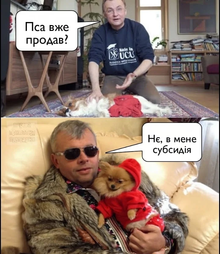 Скандальный комментарий депутата о собаке и коммуналке породил множество феерических мемов - фото 466390