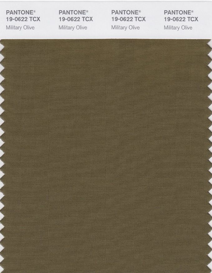 Главные цвета осени-зимы 2020 по версии Pantone - фото 466700
