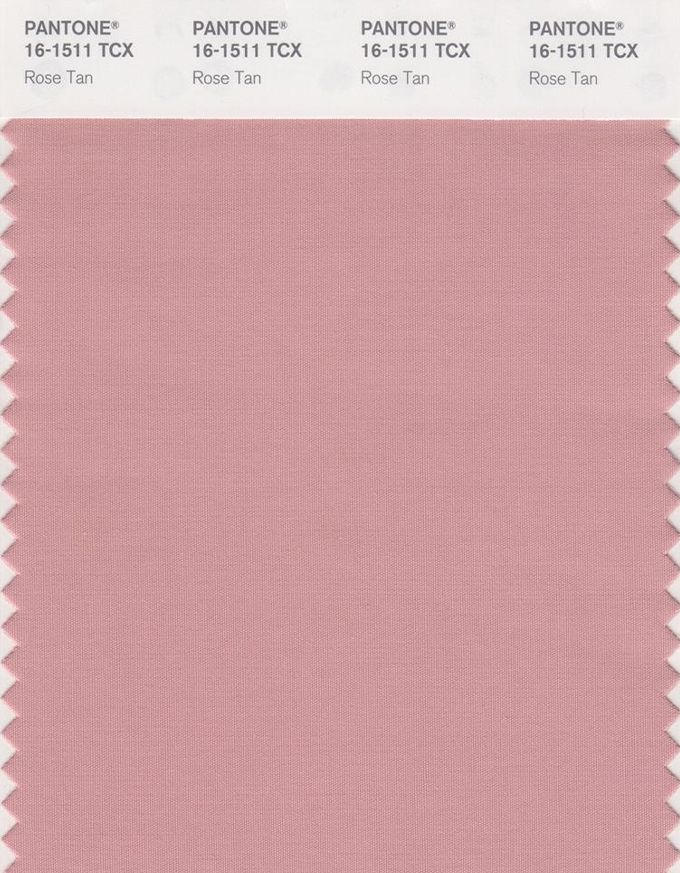 Главные цвета осени-зимы 2020 по версии Pantone - фото 466701