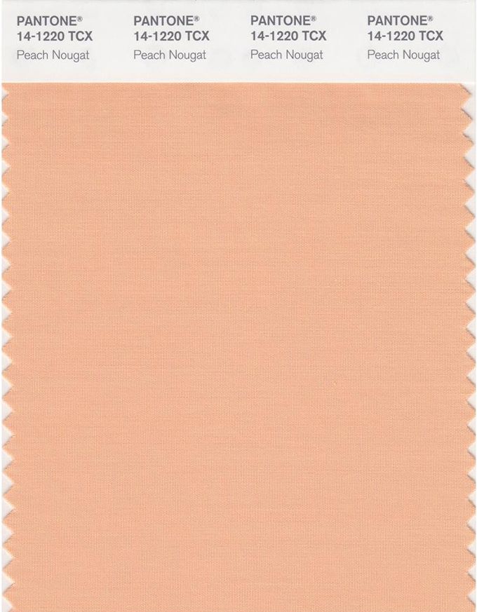 Главные цвета осени-зимы 2020 по версии Pantone - фото 466703