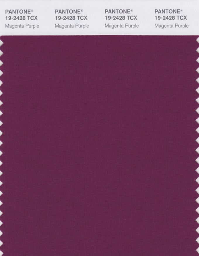Главные цвета осени-зимы 2020 по версии Pantone - фото 466704