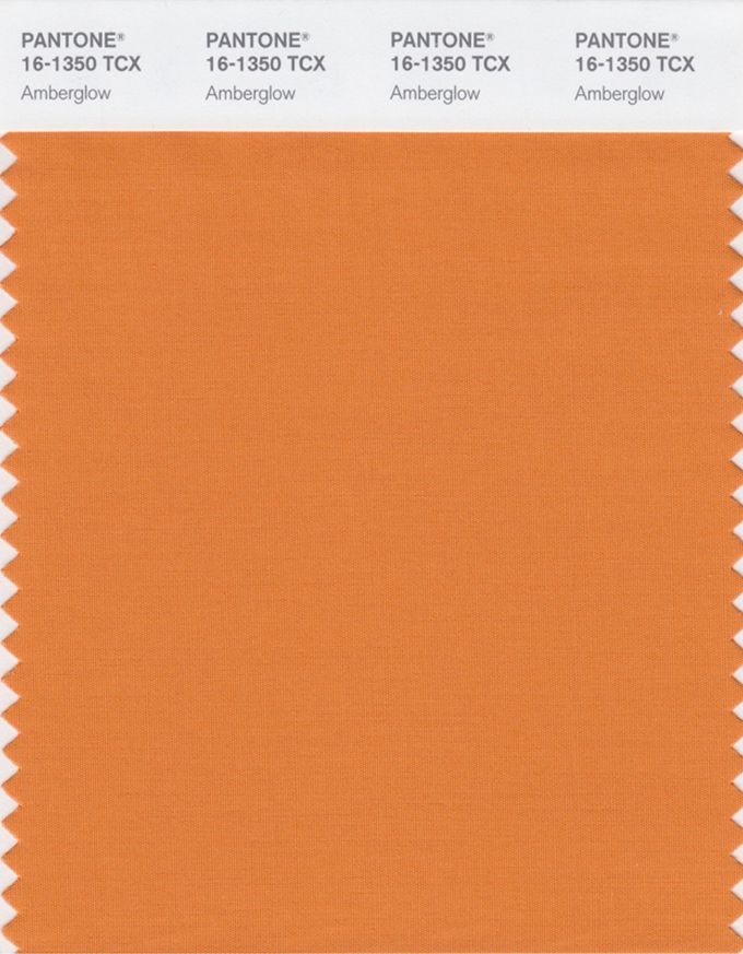 Главные цвета осени-зимы 2020 по версии Pantone - фото 466708