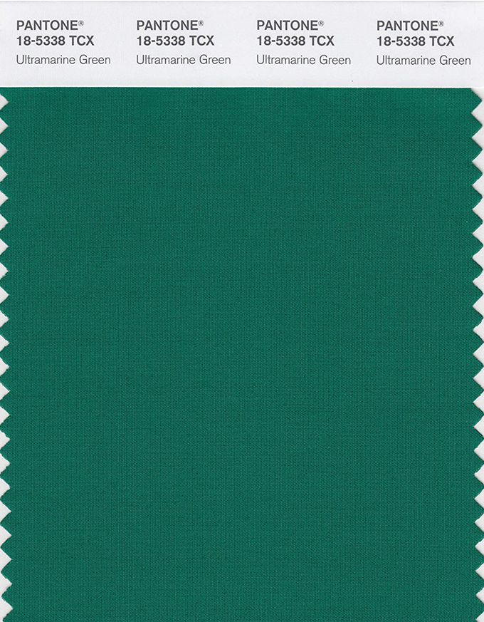 Главные цвета осени-зимы 2020 по версии Pantone - фото 466709