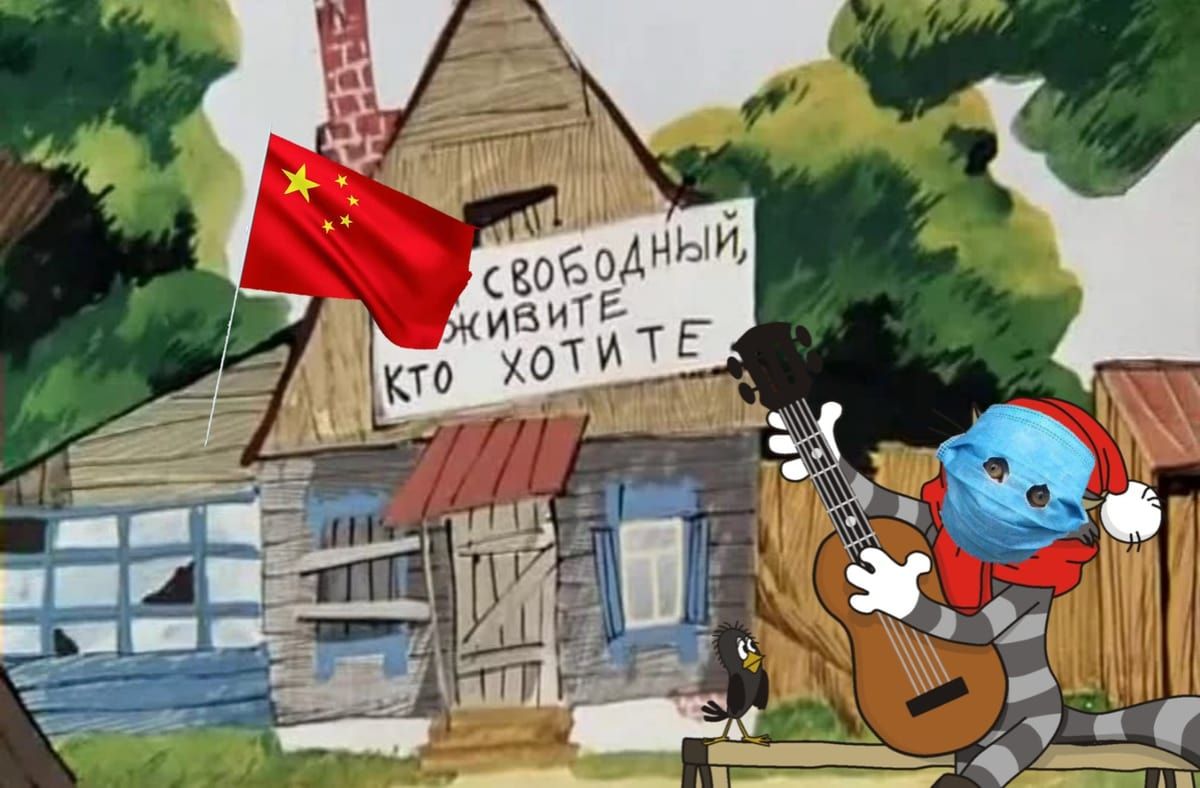 Люди хотіли вберегти котика від вірусу і так перестаралися, що тепер він – герой мемів - 467510 Люди хотіли вберегти котика від вірусу і так перестаралися, що тепер він – герой мемів - фото 467510