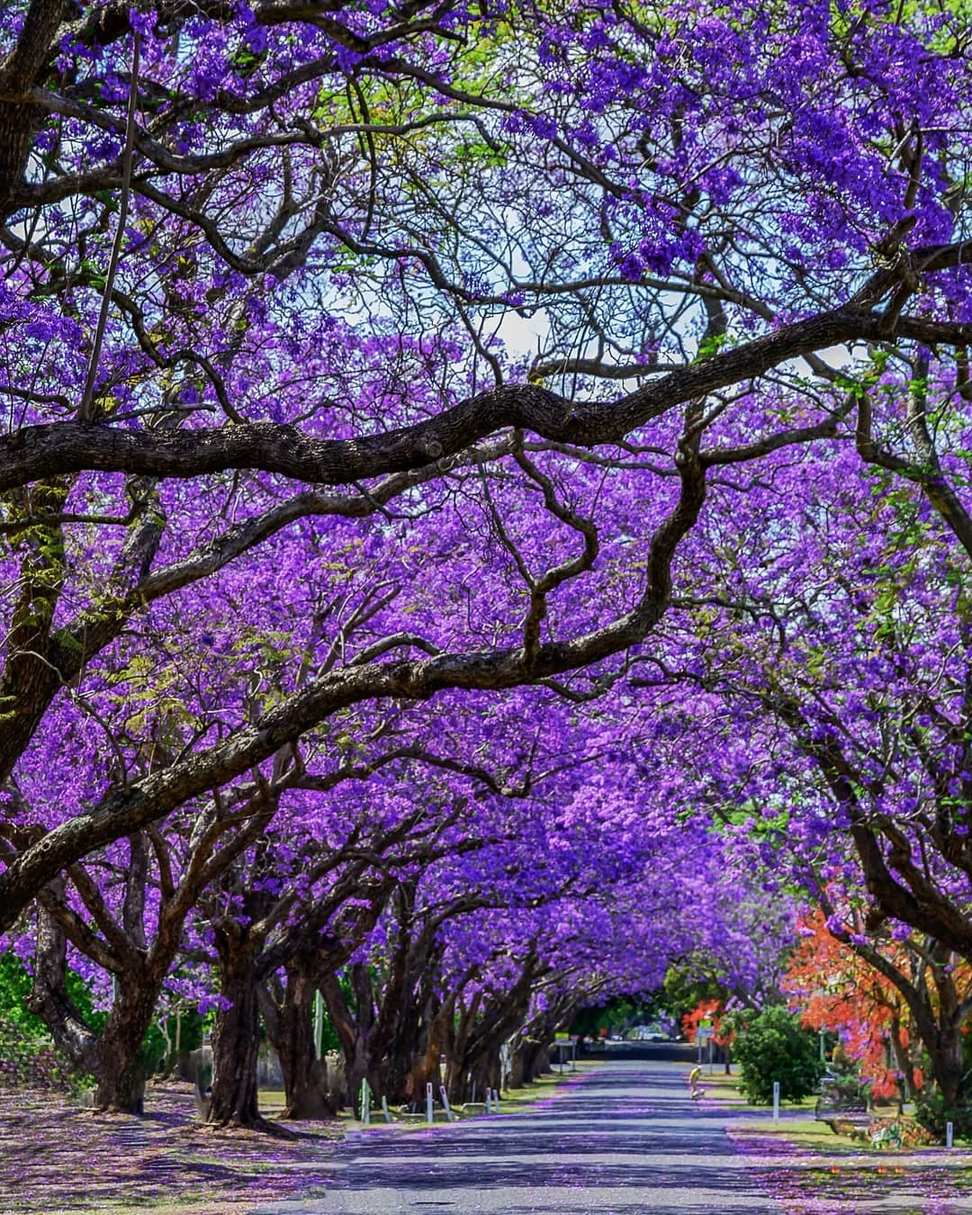 Ось як виглядають найгарніші вулиці світу, де можна зробити кльові фото для Instagram - фото 468570