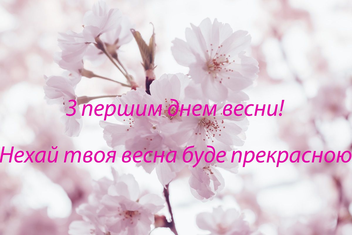 З першим днем весни - фото 469305