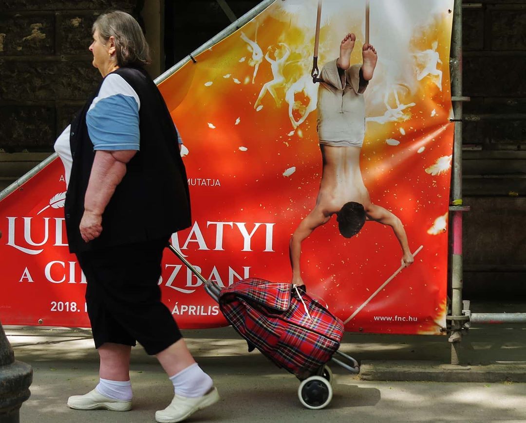 Фотограф поделился забавными кадрами в стиле 'показалось', которые вызовут у тебя истерику - 469867 Фотограф поделился забавными кадрами в стиле 'показалось', которые вызовут у тебя истерику - фото 469867