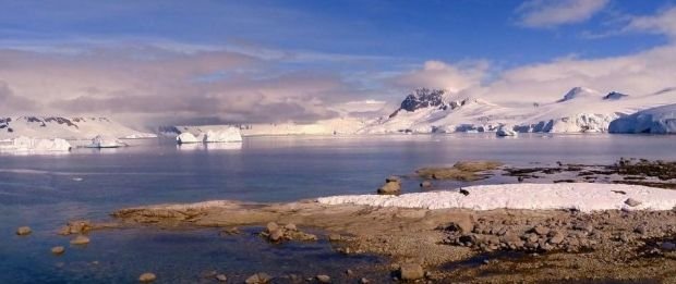 В Антарктиді на місці розталого льодовика знайшли новий острів - фото 469924