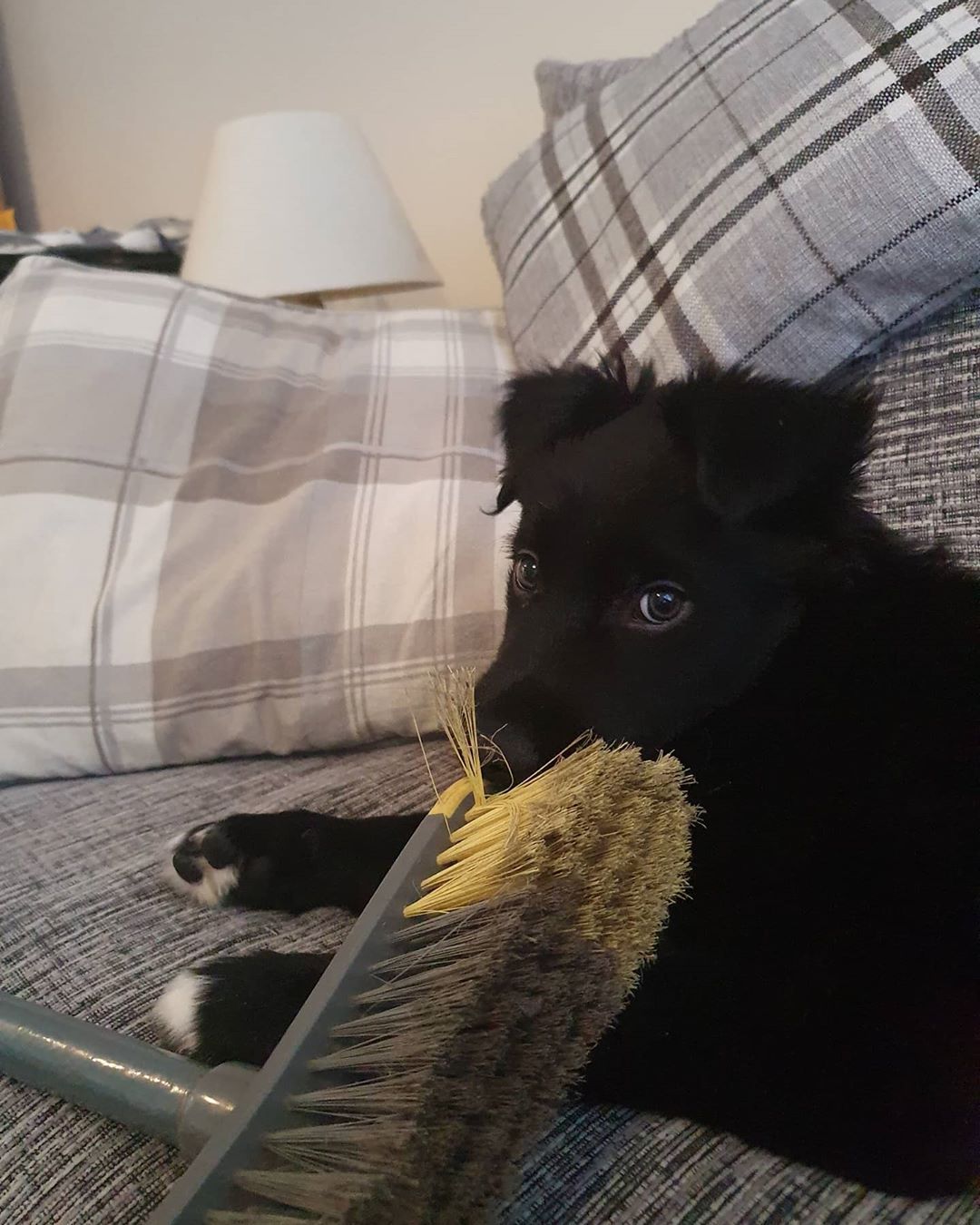 Як розважитися під час карантину – не дай собі занудьгувати через коронавірус - 471111 Як розважитися під час карантину – не дай собі занудьгувати через коронавірус - фото 471111