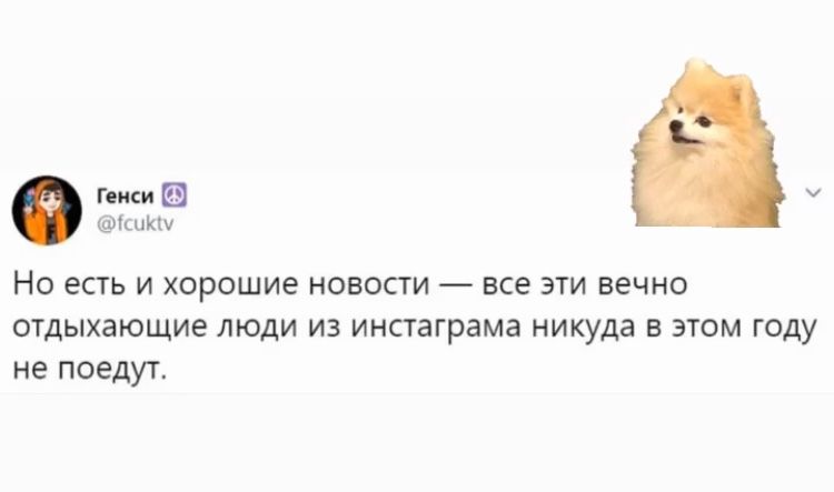 Без паніки: люди рятуються від коронавірусу дотепними мемами - фото 471484