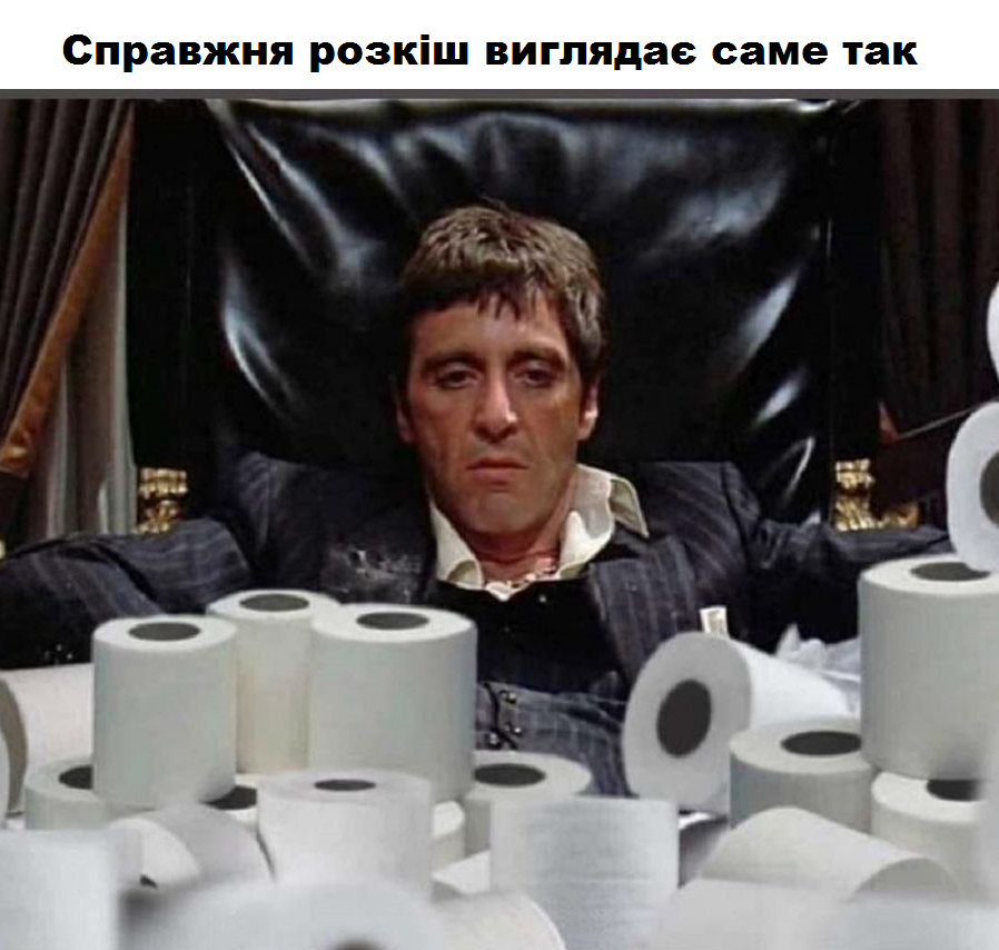 Из-за коронавируса люди скупили всю туалетную бумагу, и эта тема стала новым мемом - 471753 Из-за коронавируса люди скупили всю туалетную бумагу, и эта тема стала новым мемом - фото 471753