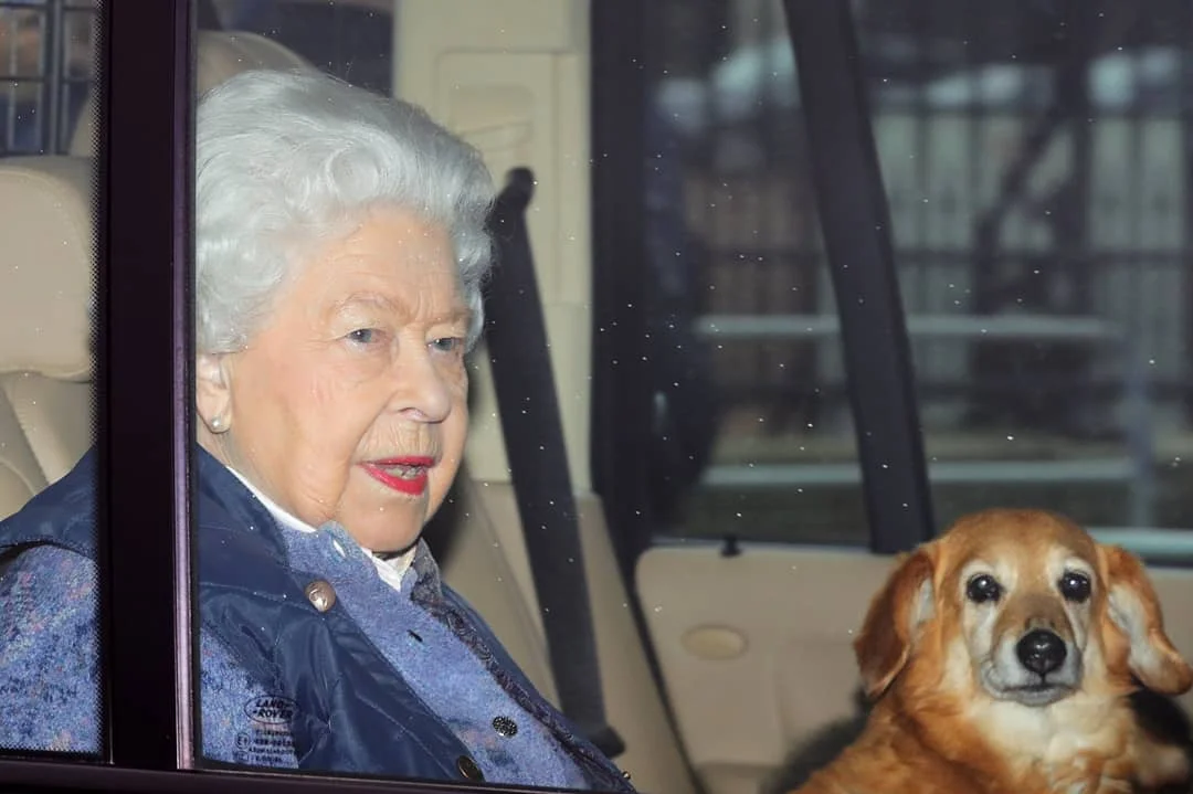 Монархи на 'каникулах': Елизавета II покинула Лондон из-за вспышки коронавируса - фото 471901