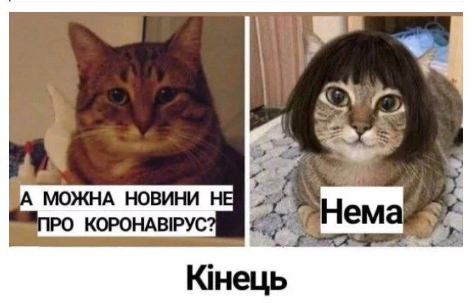 Без паніки: люди рятуються від коронавірусу дотепними мемами - 471920 Без паніки: люди рятуються від коронавірусу дотепними мемами - фото 471920