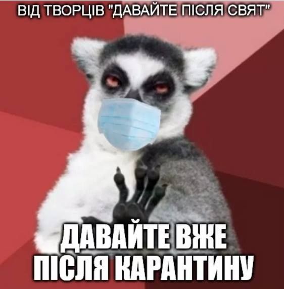 Без паніки: люди рятуються від коронавірусу дотепними мемами - 471930 Без паніки: люди рятуються від коронавірусу дотепними мемами - фото 471930
