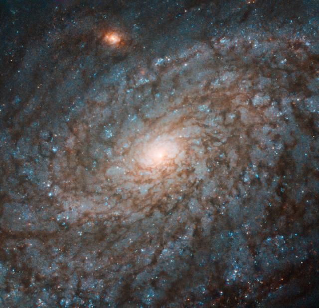 Hubble нашел галактику, похожую на сахарную вату - 472262 Hubble нашел галактику, похожую на сахарную вату - фото 472262