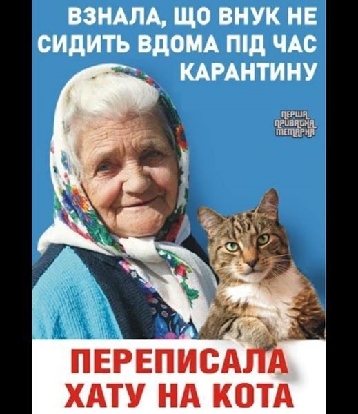 Без паніки: люди рятуються від коронавірусу дотепними мемами - 472756 Без паніки: люди рятуються від коронавірусу дотепними мемами - фото 472756