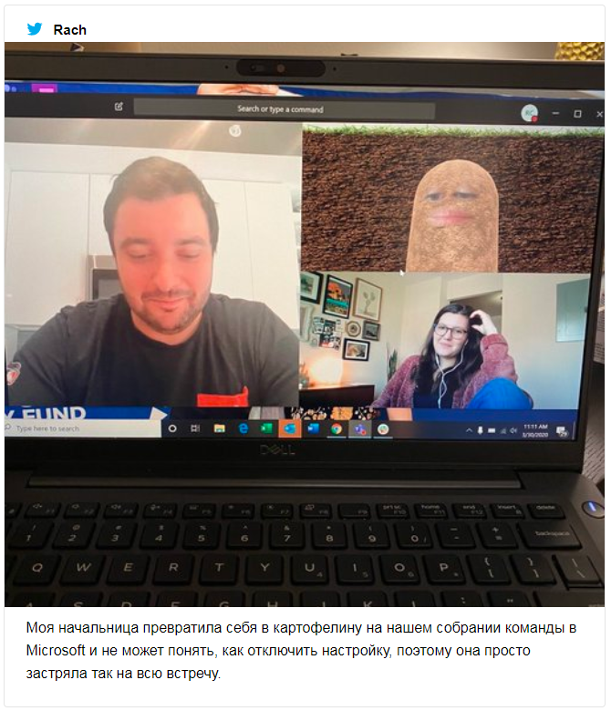 Во время рабочего видеочата женщина стала картофелиной, а уже потом – смешным мемом - 473553 Во время рабочего видеочата женщина стала картофелиной, а уже потом – смешным мемом - фото 473553