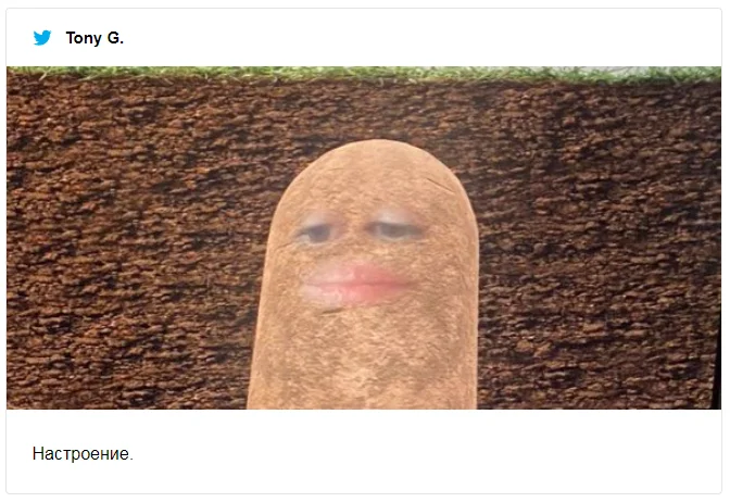 Під час робочого відеочату жінка стала картоплиною, а вже потім – смішним мемом - фото 473554