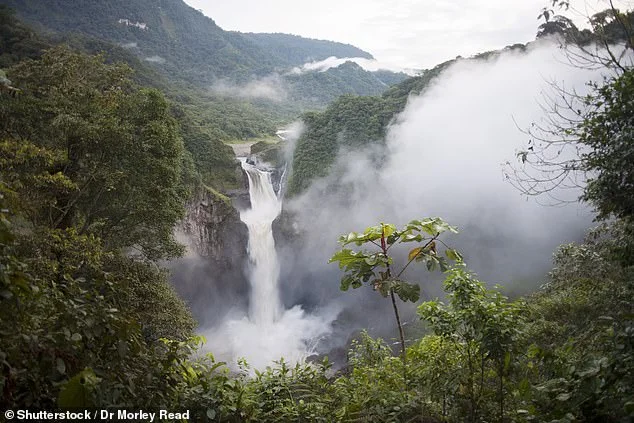 В Эквадоре бесследно исчез самый большой водопад страны, и уже есть догадки почему - фото 473652