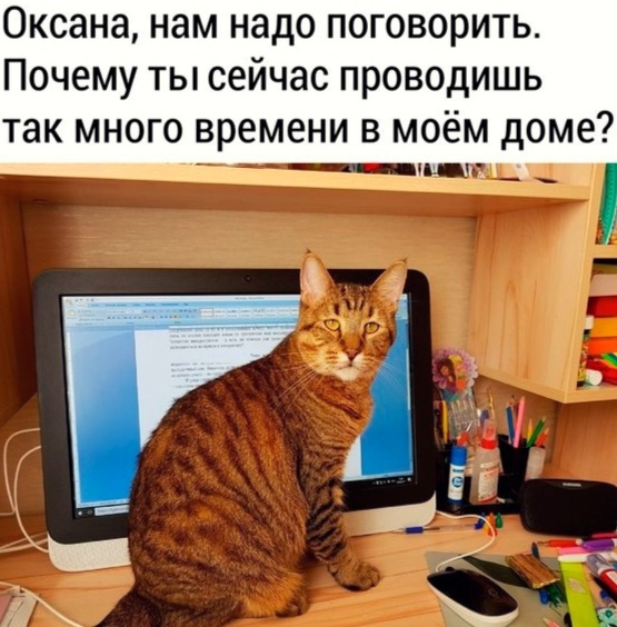 Без паніки: люди рятуються від коронавірусу дотепними мемами - 473686 Без паніки: люди рятуються від коронавірусу дотепними мемами - фото 473686