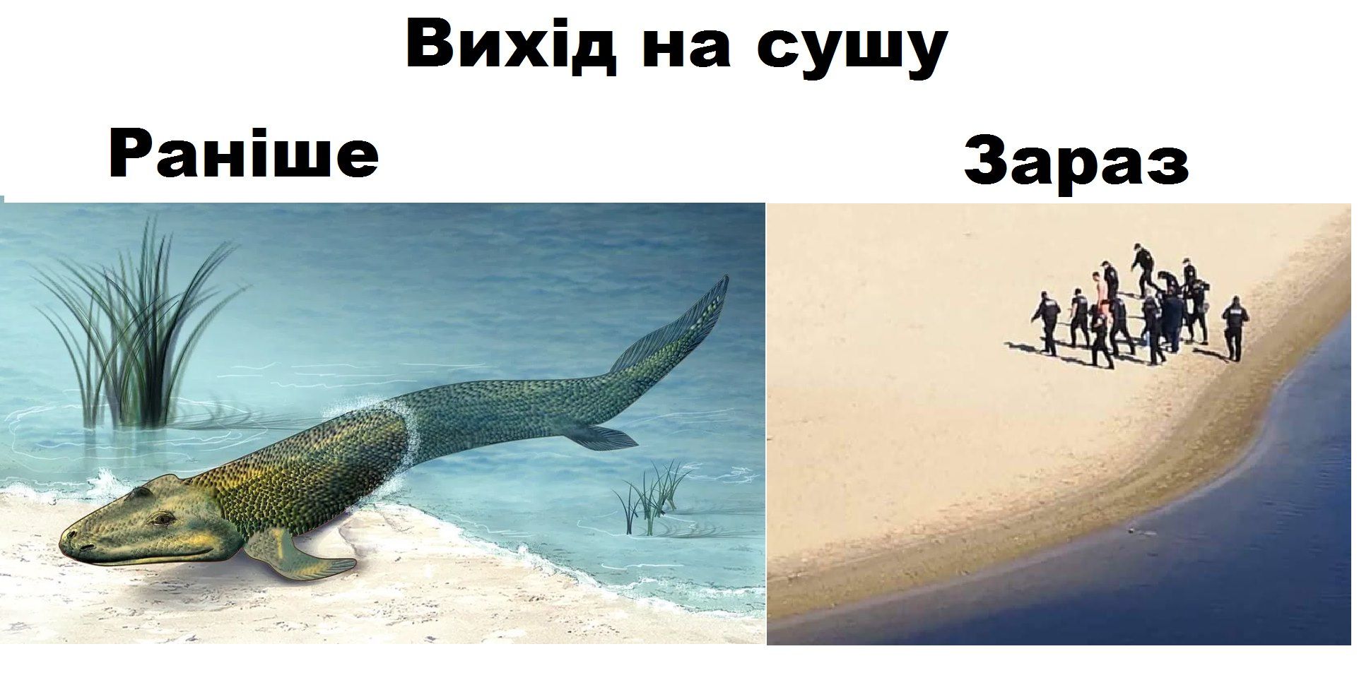 Шутки о карантине в Украине, которые повеселят тебя до слез - фото 474016