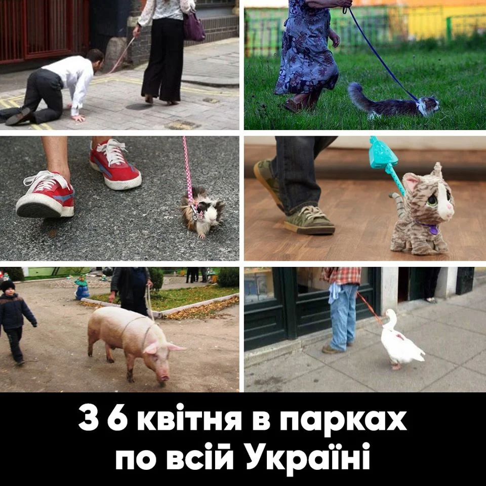Шутки о карантине в Украине, которые повеселят тебя до слез - фото 474026