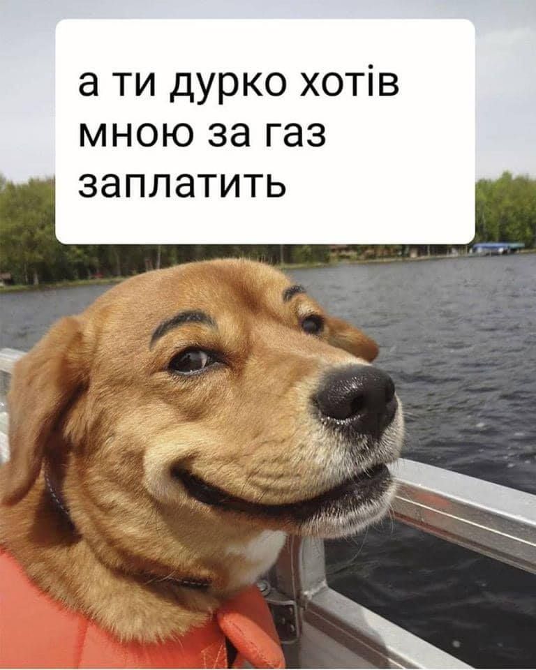 Шутки о карантине в Украине, которые повеселят тебя до слез - фото 474029