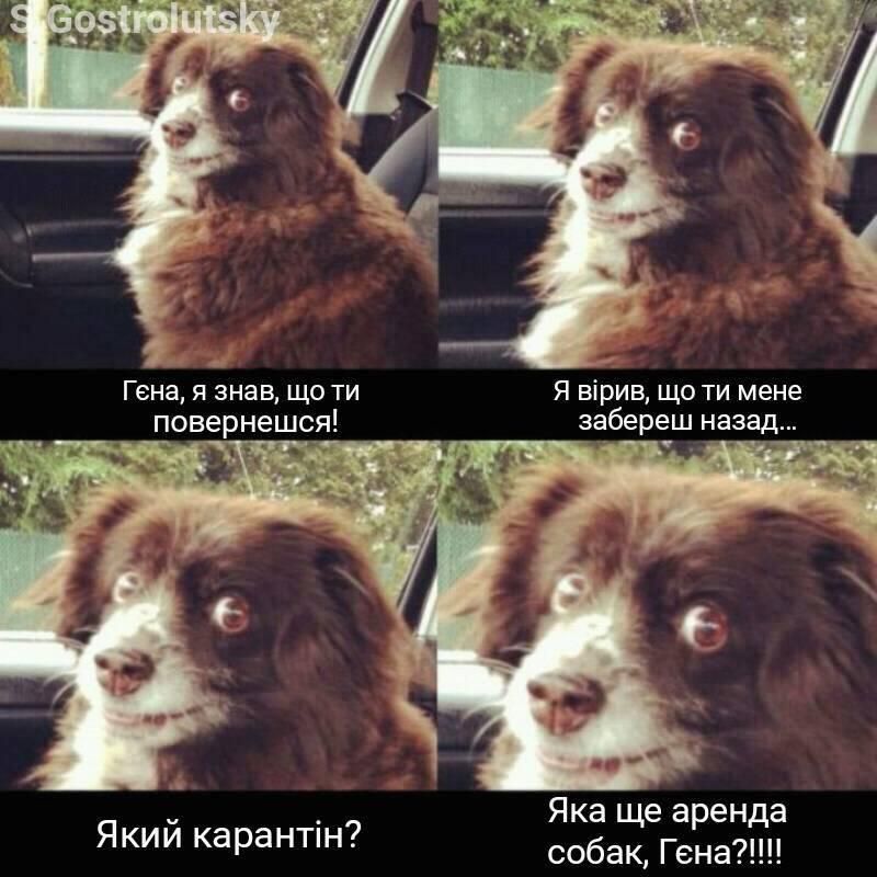 Шутки о карантине в Украине, которые повеселят тебя до слез - фото 474030