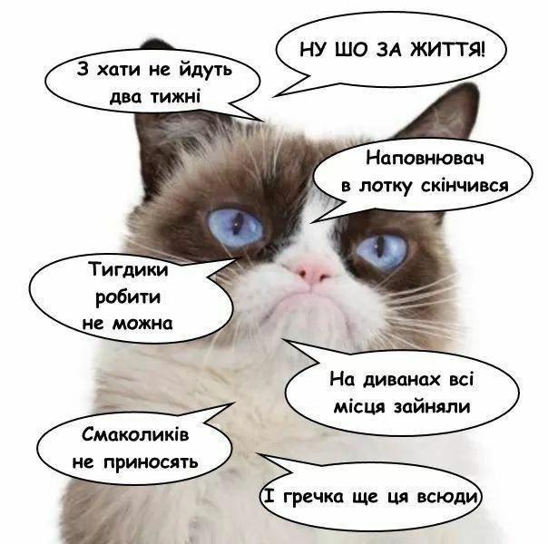Без паніки: люди рятуються від коронавірусу дотепними мемами - 474361 Без паніки: люди рятуються від коронавірусу дотепними мемами - фото 474361