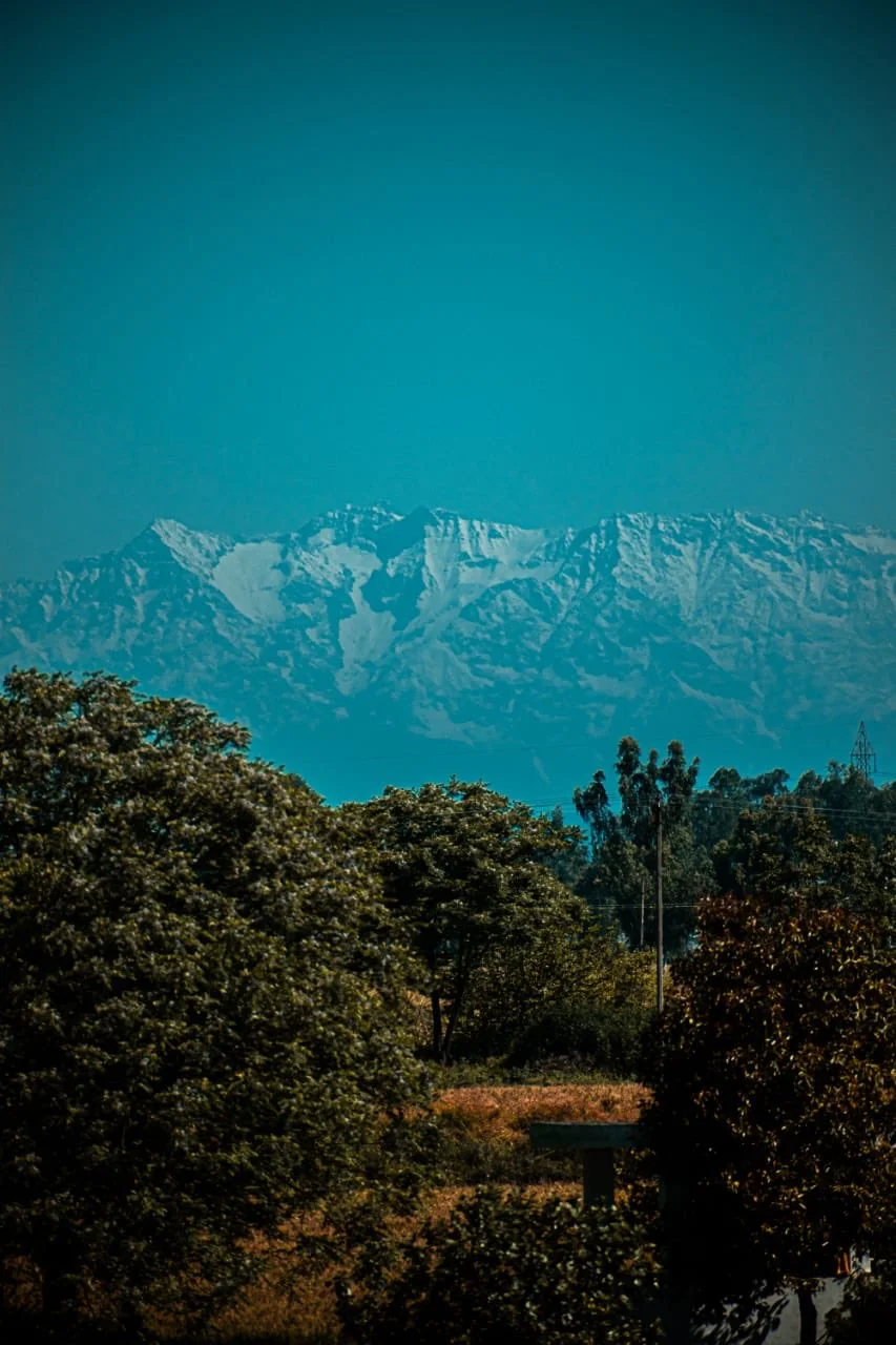 Впервые за 30 лет из Индии видно Гималаи, и это зрелище невероятной красоты - фото 474561