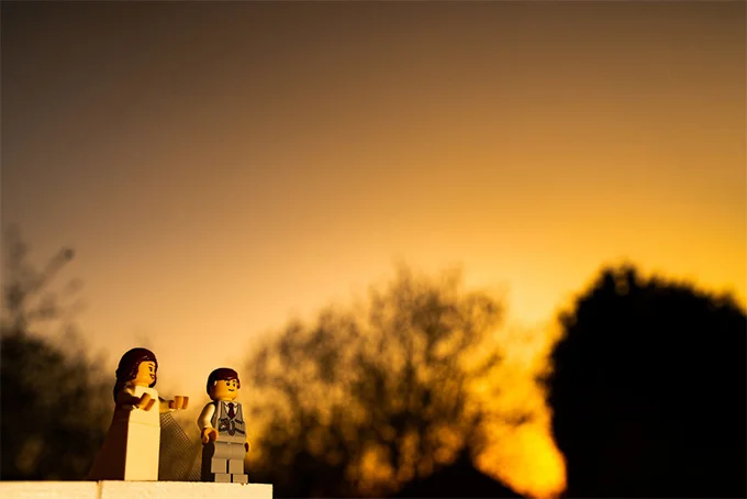 Самая странная love story: от скуки мужчина устроил фигуркам Lego свадебную фотосессию - фото 474752