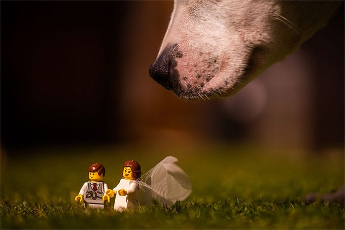 Найдивніша love story: від нудьги чоловік влаштував фігуркам Lego весільну фотосесію - 474768 Найдивніша love story: від нудьги чоловік влаштував фігуркам Lego весільну фотосесію - фото 474768