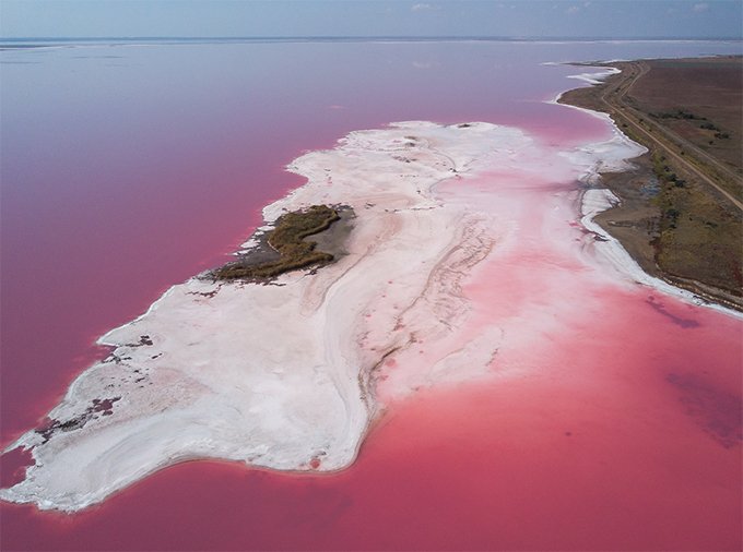 На рожевій планеті: знімок соляного озера Херсонщини опублікували в National Geographic - фото 475142