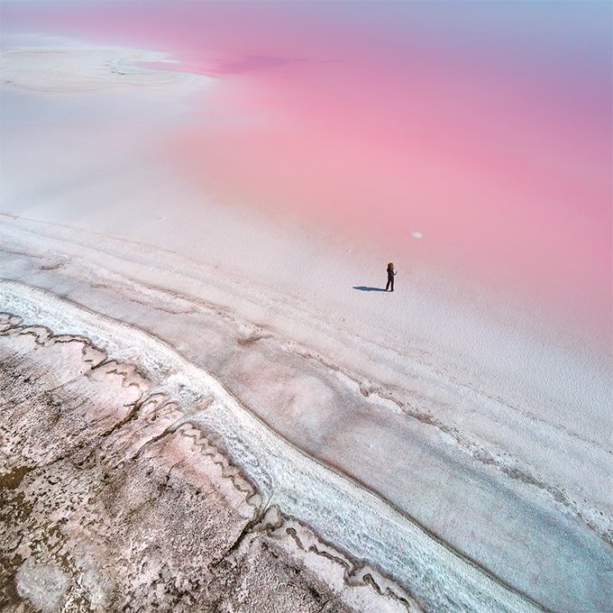 На рожевій планеті: знімок соляного озера Херсонщини опублікували в National Geographic - фото 475145