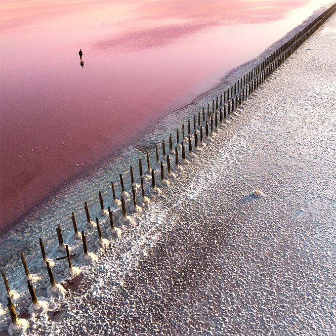 На розовой планете: снимок соляного озера Херсонщины опубликовали в National Geographic - фото 475149