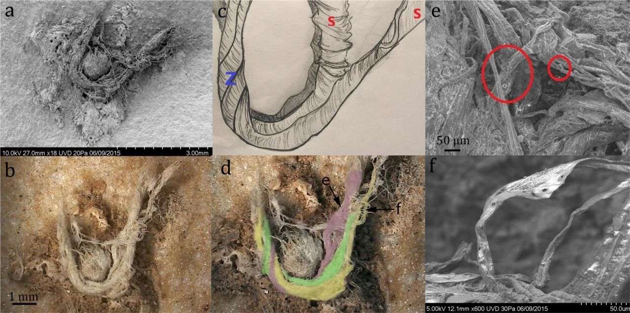 Науковці знайшли прадавні нитки та довели, що неандертальці вміли прясти - фото 475249