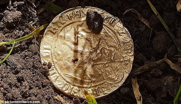 Из-за скуки на карантине британка случайно нашла клад - 475528 Из-за скуки на карантине британка случайно нашла клад - фото 475528