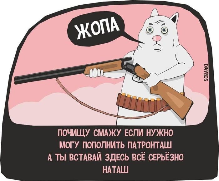 Мережу заполонили меми про котів і Наташу – ми зібрали найкращі з них - 476263 Мережу заполонили меми про котів і Наташу – ми зібрали найкращі з них - фото 476263