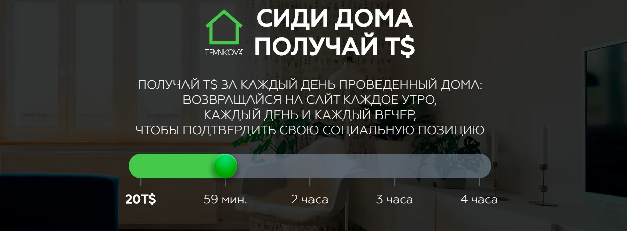 #StayHome: Лена Темникова создала социальный проект, который помогает заработать - фото 476314