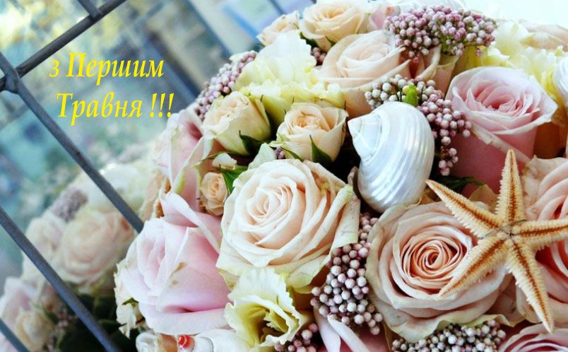 Прикольні привітання з 1 травня у віршах, картинках та прозі - фото 476774